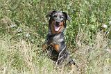 BEAUCERON 110